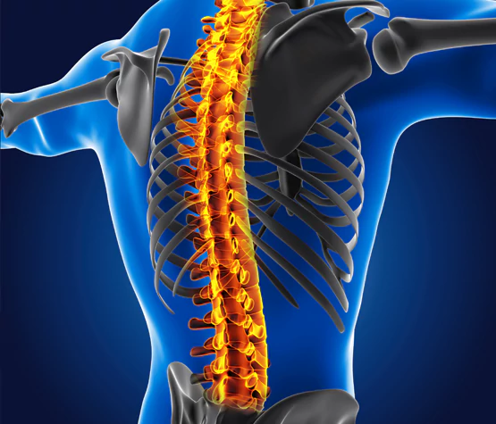 minimally invasive spine surgery