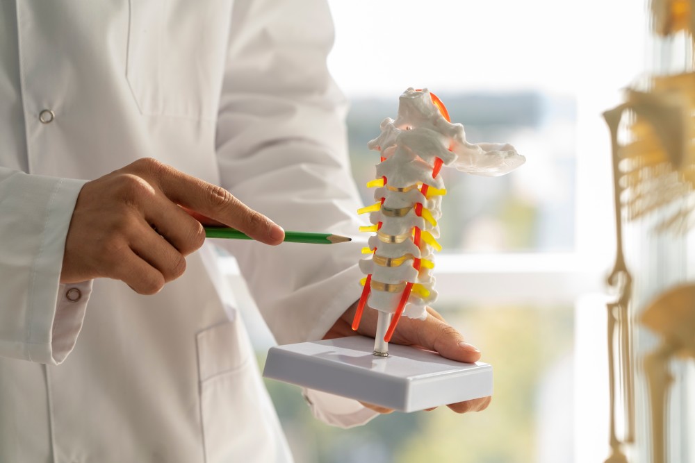 Spinal Fusion
